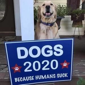 Meet your Posher, Dave